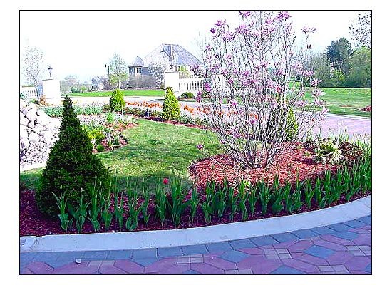Spring & Fall Landscaping-Adding Color to your Gardens