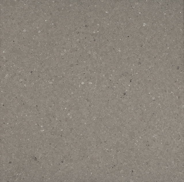 Shitake Contemporary Kitchen Countertops by Caesarstone