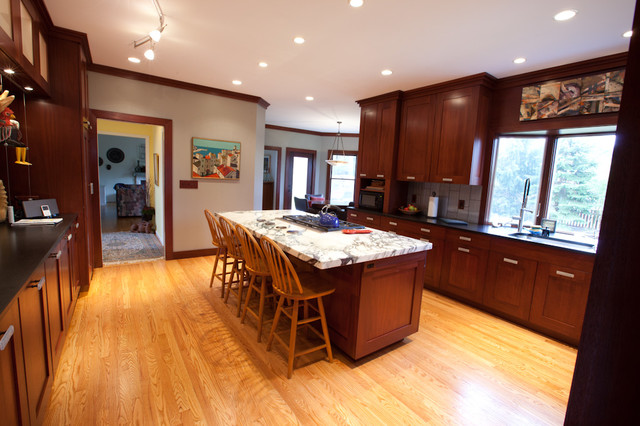 Sleek Contemporary Kitchen traditional-kitchen