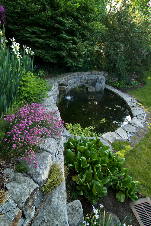 I want to build a small backyard pond/water feature, we're ...
