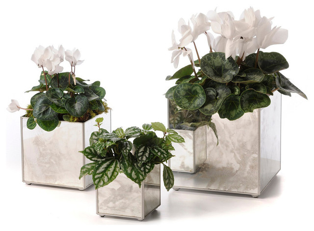 Silver Decorative Orchid Pots