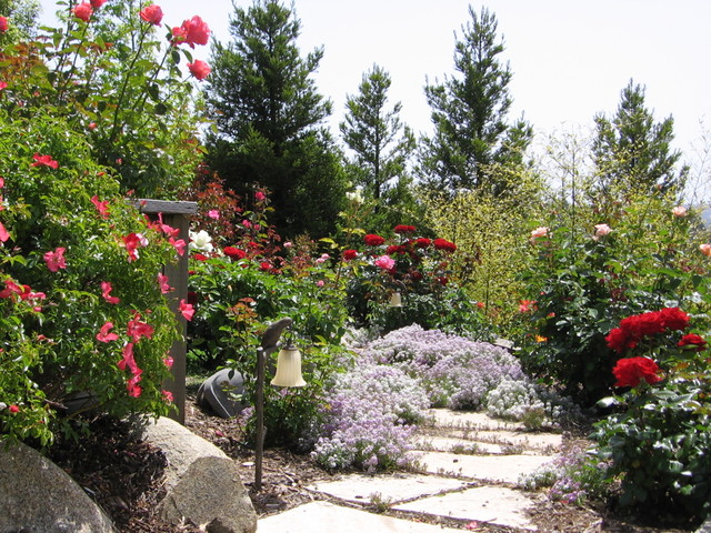 Paths, patios, fire pits eclectic landscape