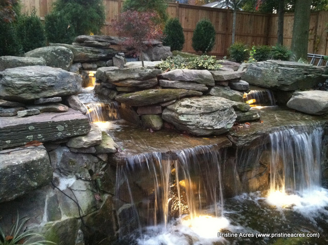 Waterfall & Koi Pond traditional landscape