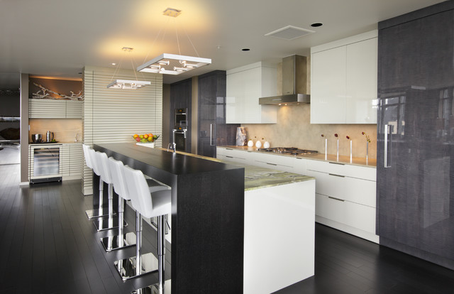 Penthouse Remodel modern kitchen