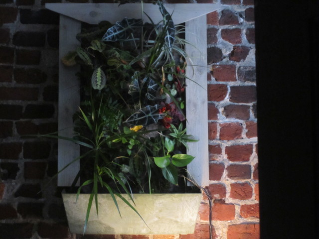 INTERIOR VERTICAL GARDEN / THE HEALING ARTS CENTER OF RICHMOND 