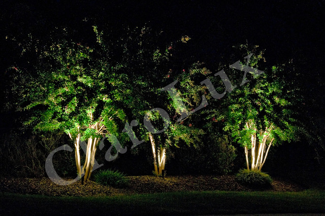 Landscape Lighting Photos by ClaroLux traditional