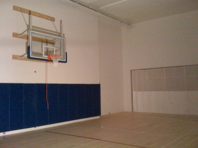 Illinois Residence traditional home gym