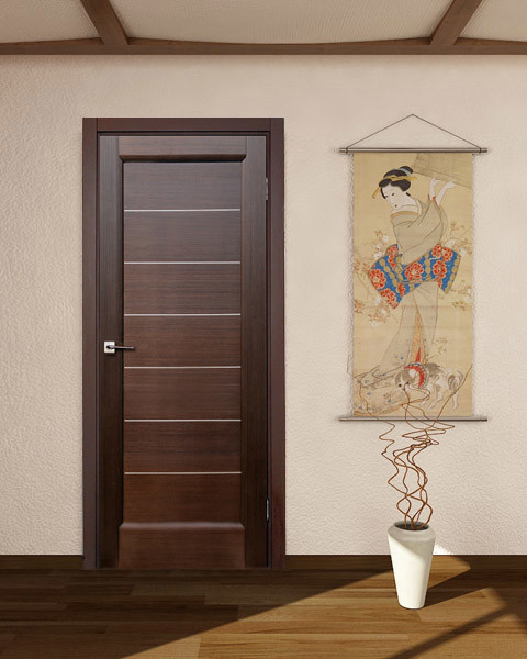 Modern & Contemporary Interior Doors -