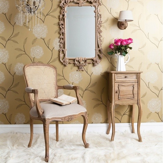 French Chic Furniture traditional-living-room-chairs