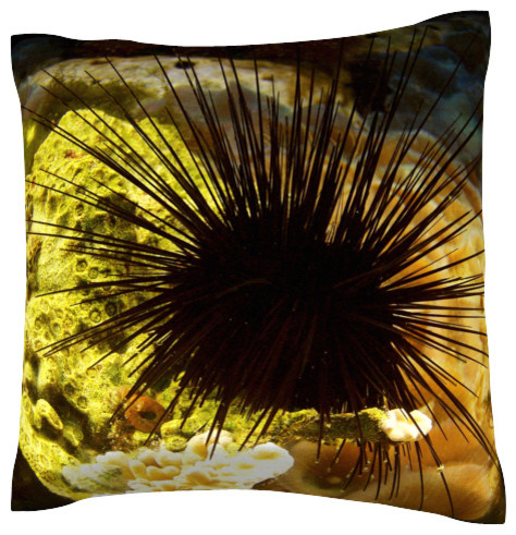 reef urchin echinometra viridis contemporary reef urchin echinometra viridis contemporary