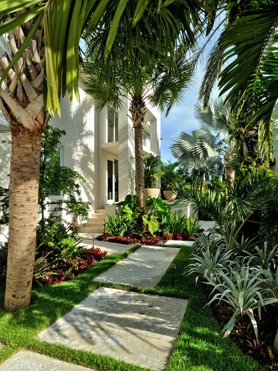 tropical landscape Landscaping Ideas Miami