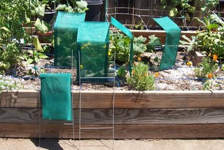 Homemade shade for my baking SFG garden