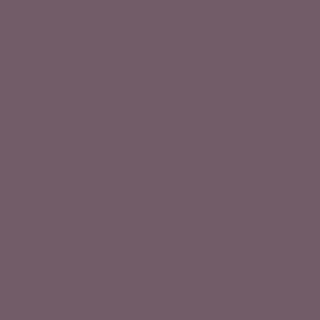 Expressive Plum Contemporary Paint By Sherwin Williams