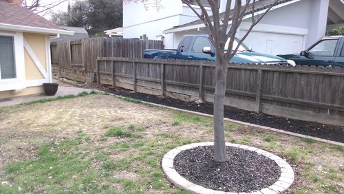 Help transitioning between retaining wall and fence on property line
