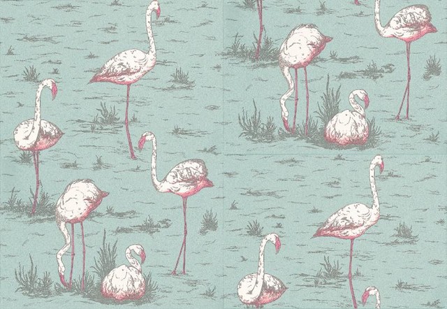 Flamingo Feature Wallpaper | flamingos wallpaper by wallpaperdirect Flamingo Feature Wallpaper | flamingos wallpaper by wallpaperdirect