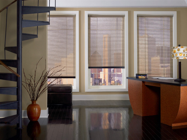 Rollers & Screens modern-window-treatments
