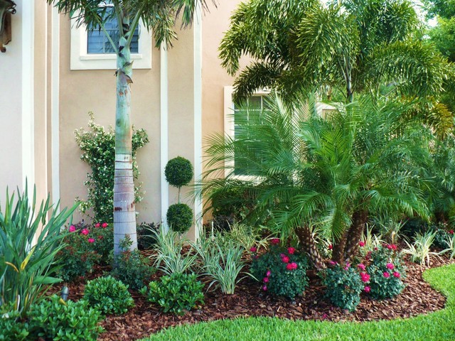 Front Landscape & Pool Waterfall - tropical - landscape - tampa ...