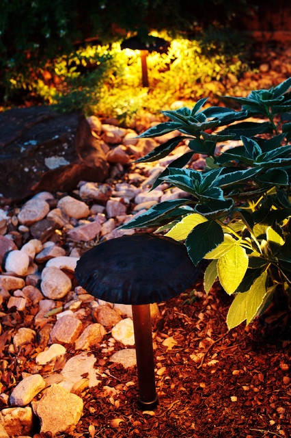 Exceptional Landscape Lighting traditional
