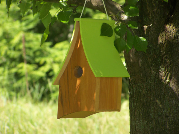 Whimsical Birdhouse