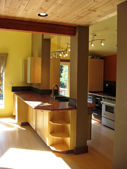 Budget Projects modern-kitchen