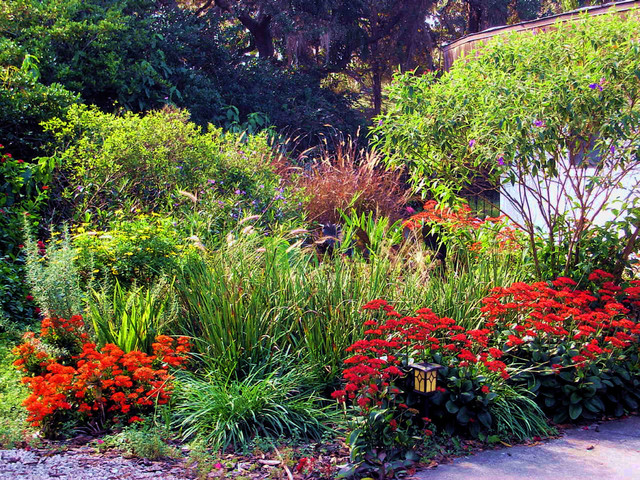 ... Garden - Eclectic - Landscape - tampa - by Tampa Landscape Design