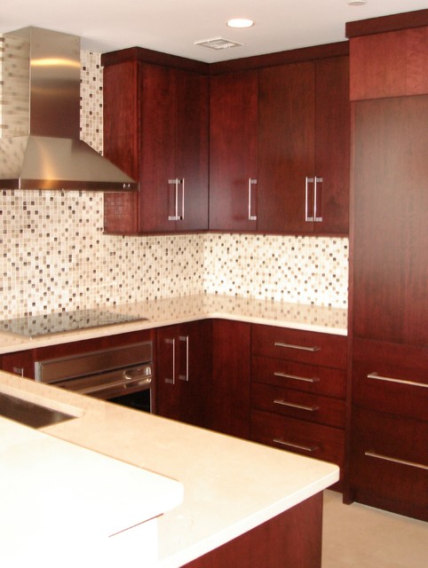 Kitchens contemporary kitchen