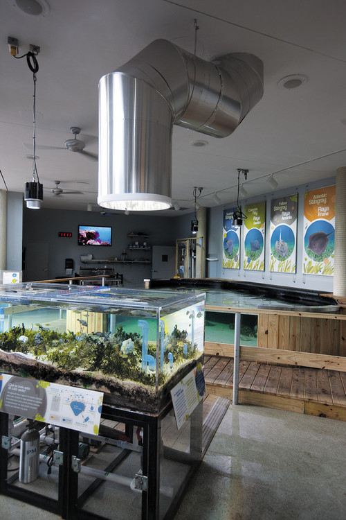 Indoor aquaponic (aquaponics forum at permies)