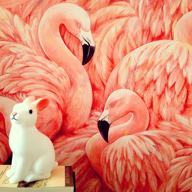 Flamingo Wallpaper Melbourne | eurowalls flamingo wallpaper residential application Flamingo Wallpaper Melbourne | eurowalls flamingo wallpaper residential application