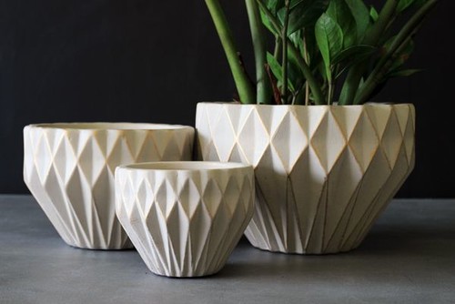 Geometric pot plants by Rockett St George