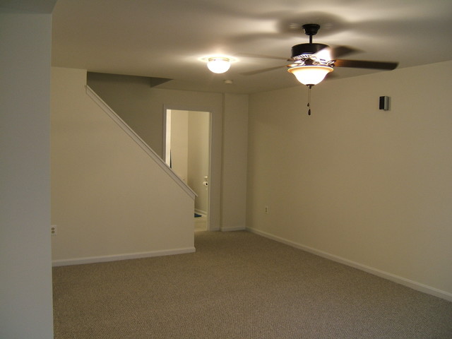 Basements traditional-basement
