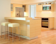 Highlights contemporary kitchen