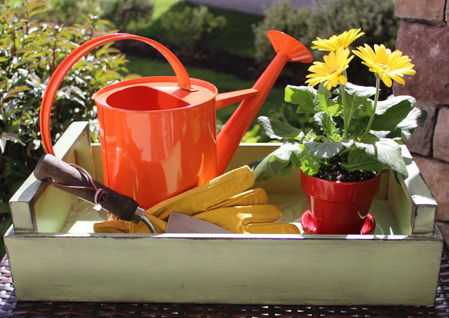 Staged by Get Staged modern-patio