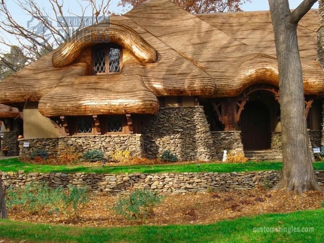 False Thatched Roof - Eclectic - Exterior - minneapolis 