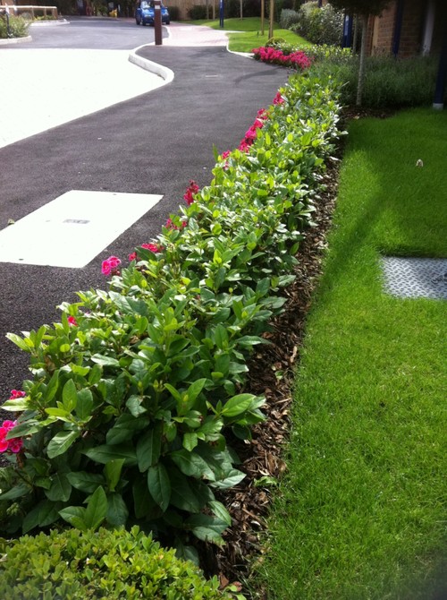 Diseños de Jardines decoracion de vereda, acera y jardin