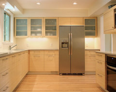Highlights contemporary kitchen