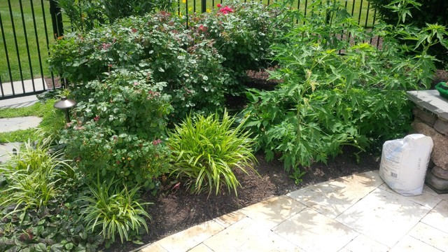 Outdoor Oasis traditional-