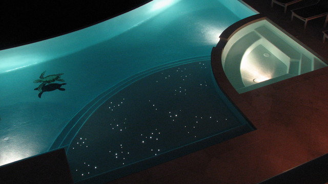 Swimming Pools eclectic-