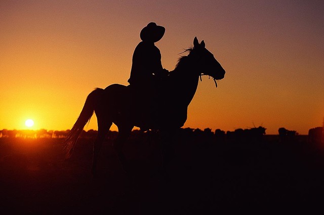 Cowboy and Horse Western Sunset Wallpaper Wall Mural - Self-Adhesive