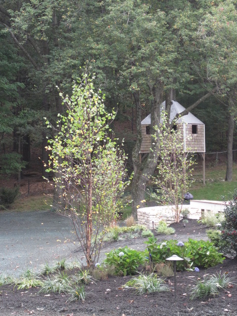 Progress Photos traditional-exterior
