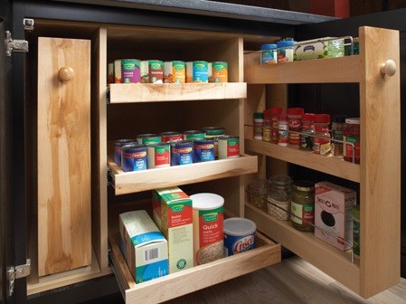 Storage Solutions - Kitchen Cabinetry - other metro - by Wellborn ...