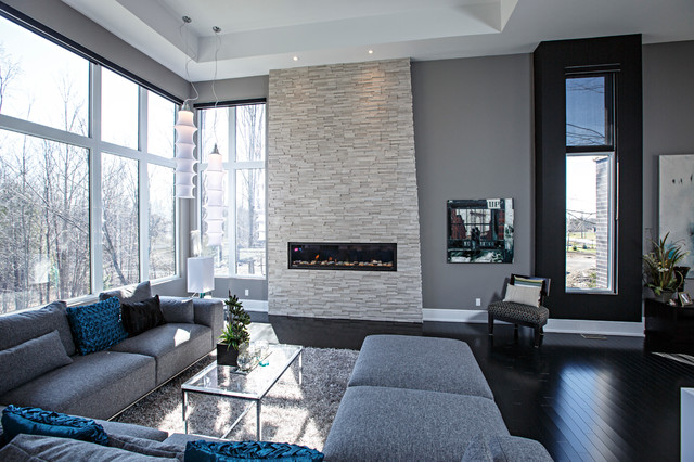 Contemporary living room in grey tones  Contemporary  Living Room 