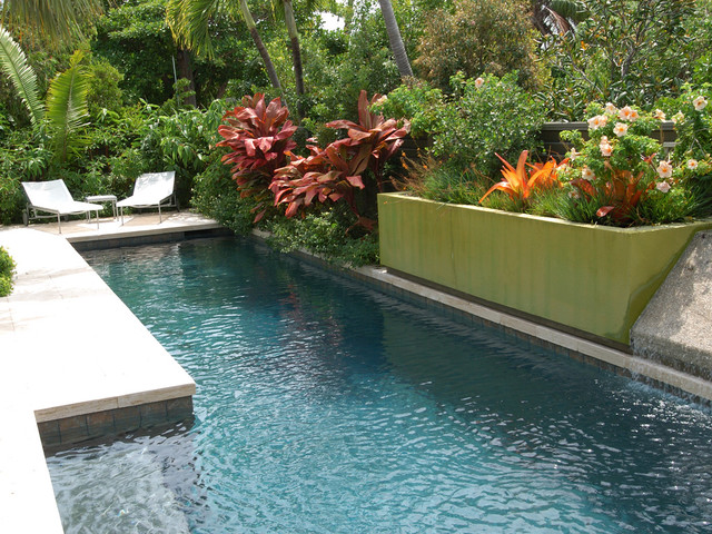 contemporary pool by Raymond Jungles, Inc.