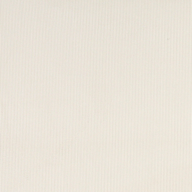 Ivory Velvet Thin Striped Upholstery Fabric By The Yard Contemporary Upholstery Fabric by