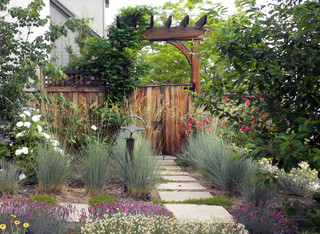 Xeric landscaping: Photo image from Houzz