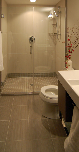 2010 Tour of Remodeled Homes modern bathroom