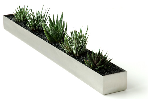 Gus Modern - Gus Modern Fruit Trough - Make a fresh statement in your home with