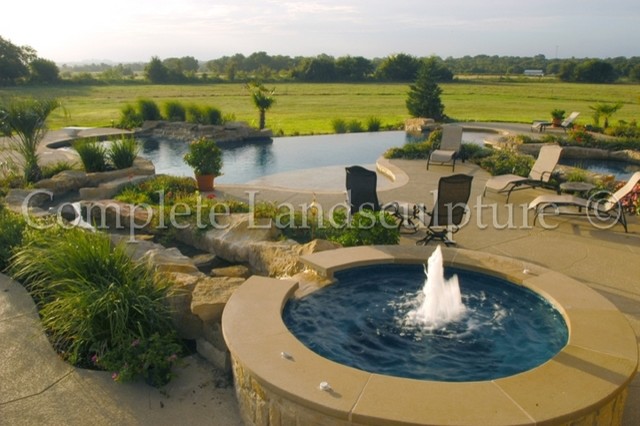 Free Form Pools traditional-pool