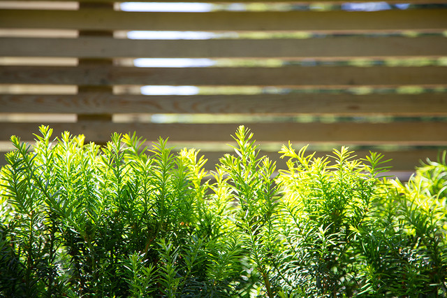 Private Residence North Vancouver traditional landscape