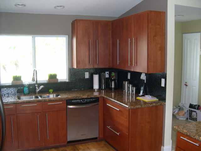 Miami Contemporary Kitchen contemporary kitchen