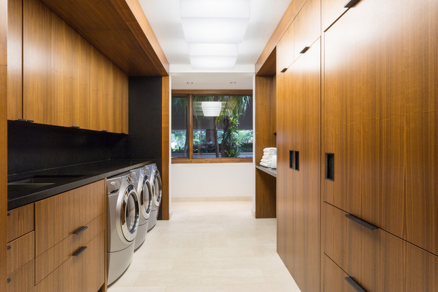 Modern Scientist Residence modern-laundry-room